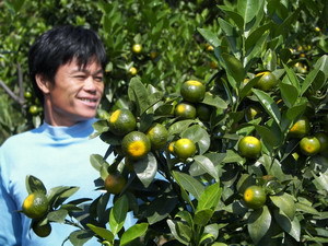 連麥鎮(zhèn) 初級農(nóng)產(chǎn)品的綠色寶藏