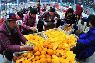 做農(nóng)業(yè)電商，需不需要辦理食品經(jīng)營(yíng)許可證？怎么辦？一文看懂！